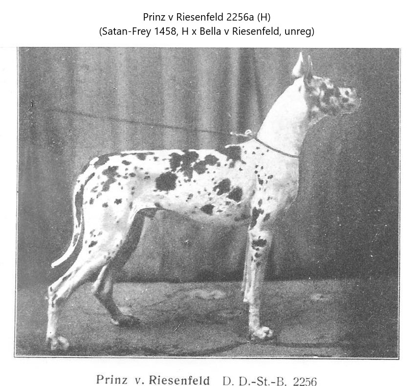 Prinz v Riesenfeld